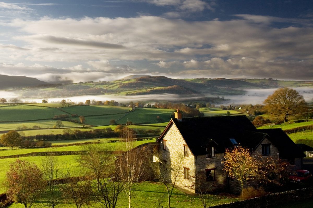 my therapist is on a yoga retreat, my wife is in scotland, and quite frankly i am tired